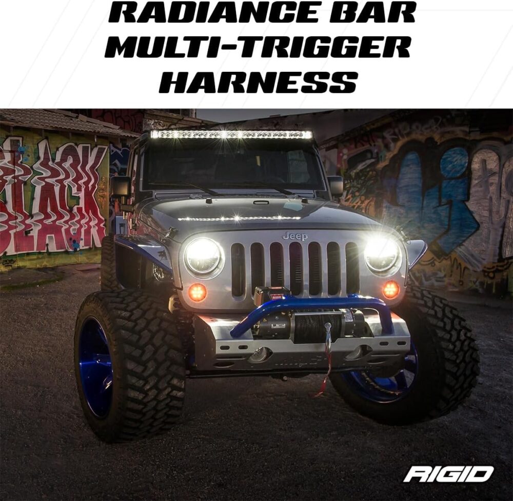 RIGID - Radiance Multi-Trigger Harness (2 Switch Single Relay) - Image 2
