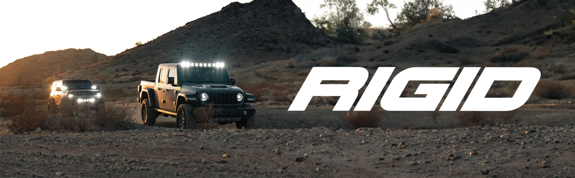 RIGID Banner